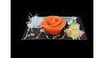 70. Laks Sashimi